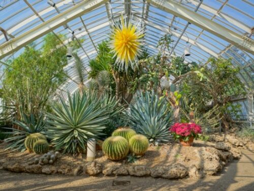 Phipps Conservatory and Botanical Gardens is a Must Visit