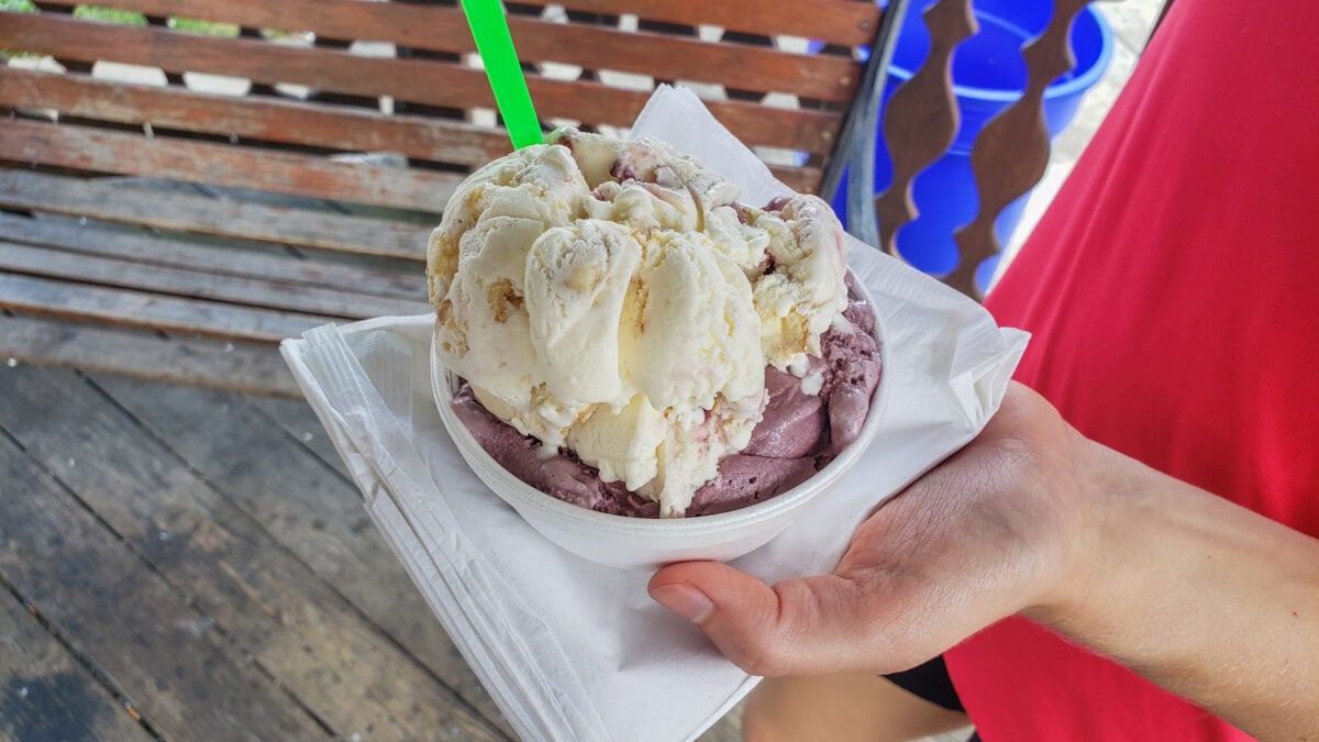 Janie's Ice Cream