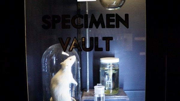 The Specimen Vault at the PostNatural Museum