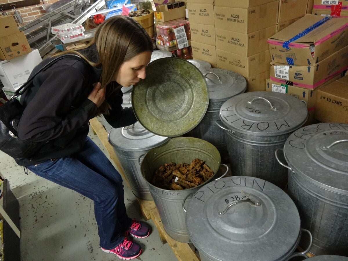 Smelling Dried Chile's at Reynas Smelling Dried Chiles at Reyna's