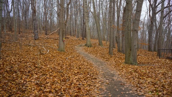 Rachel Carson Trail in Harrison Hills Park