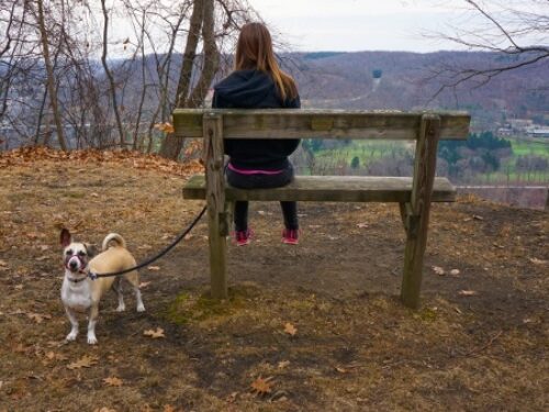 Harrison Hills Park – Easy River View Hike Near Pittsburgh