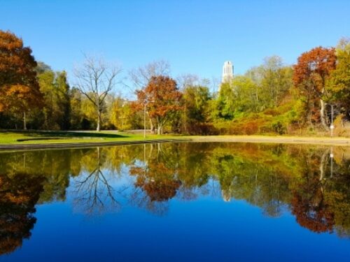 Schenley Park – A Green Oasis in the Center of Pittsburgh