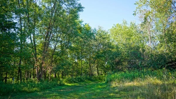 Trails at Riverview Park