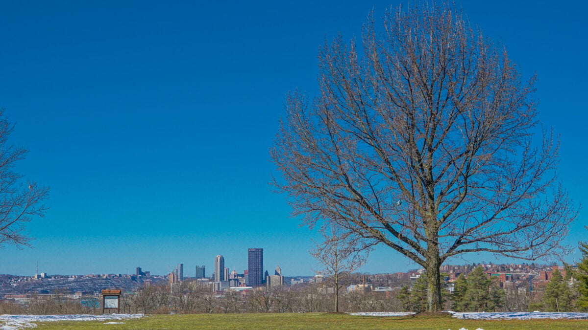Schenley Park Schenley Park
