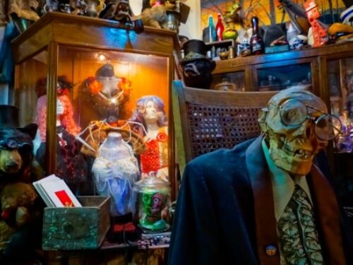 Trundle Manor – Home to a Unique Collection of Oddities
