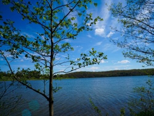 Moraine State Park – A Perfect Day Trip