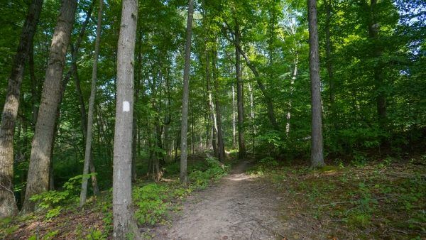 Hiking at Boyce Park