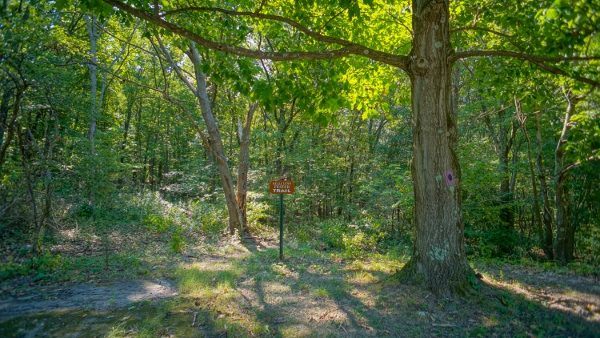 Hiking at Deer Lakes Park