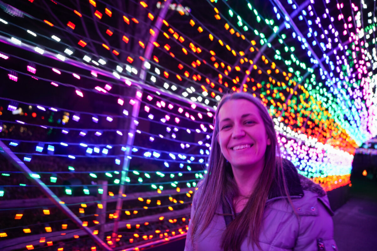 Holiday Lights Holiday Lights