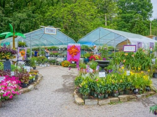 6 Great Garden Centers and Nurseries in Pittsburgh