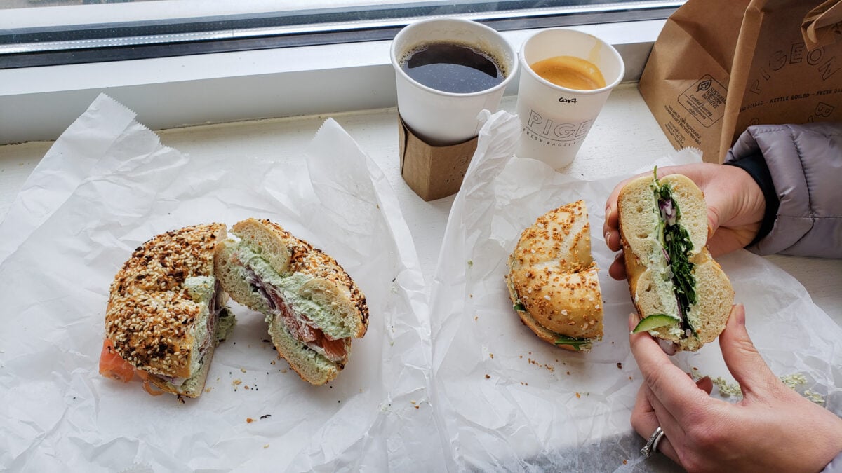 Pigeon Bagel Pigeon Bagel