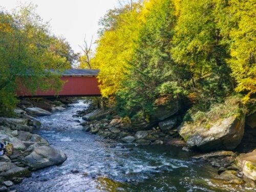 7 Great Experiences to Try During Fall in Pittsburgh