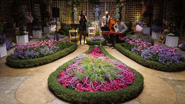 Live Music at the Phipps Gala