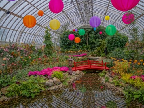 Phipps Conservatory’s Fall Flower Show – Japanese Inspirations