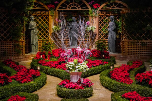 Broderie Room at Phipps Conservatory Winter Flower Show