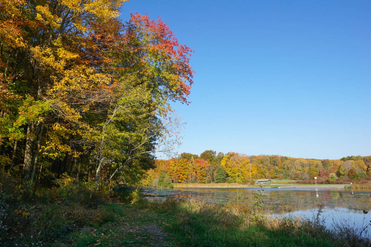 Moraine State Park Moraine State Park