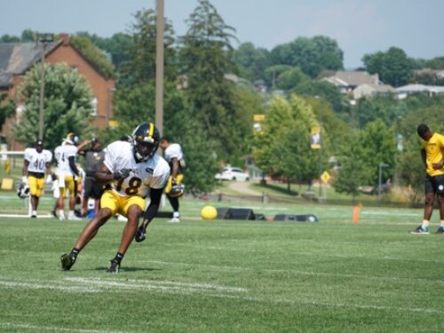 What to Expect When Attending Steelers Training Camp in Latrobe