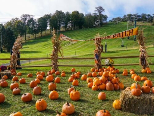 Autumnfest at Seven Springs is an Event for the Entire Family
