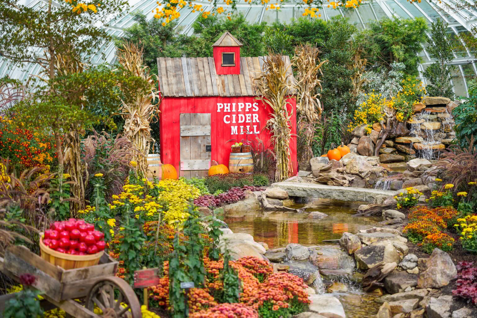 Phipps Fall Flower Show