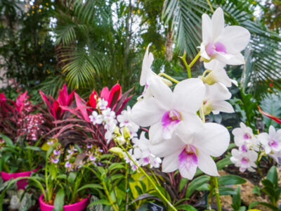 10 Reasons to Visit Pittsburgh in January – Enjoying Winter