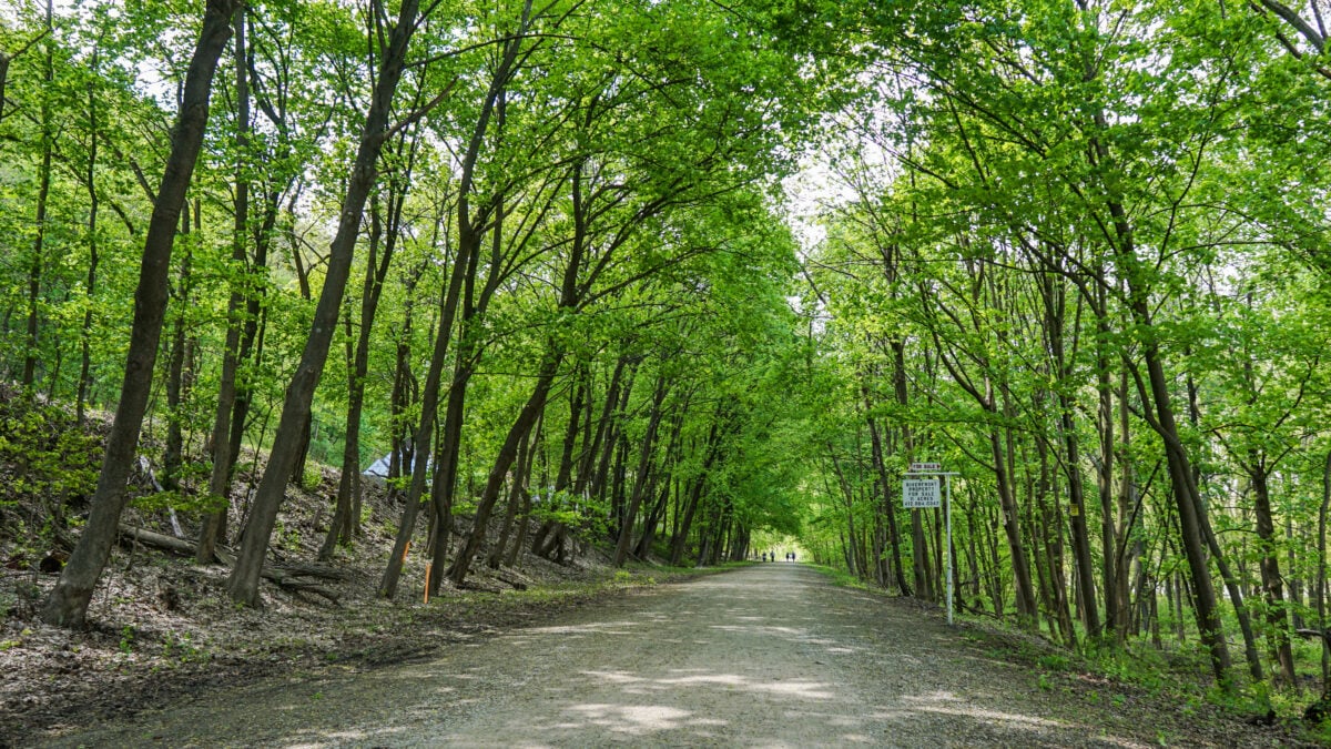 Trail Trail