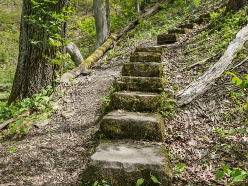 Hiking Dead Man’s Hollow for Factory Ruins and Nature