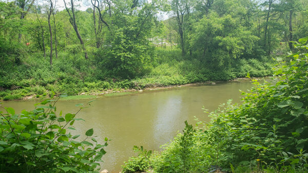Buffalo Creek on the Butler-Freeport Community Trail