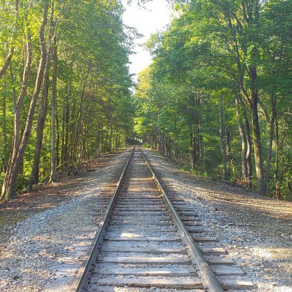 Railroad Tracks Along the Hoodlebug Trail Connector