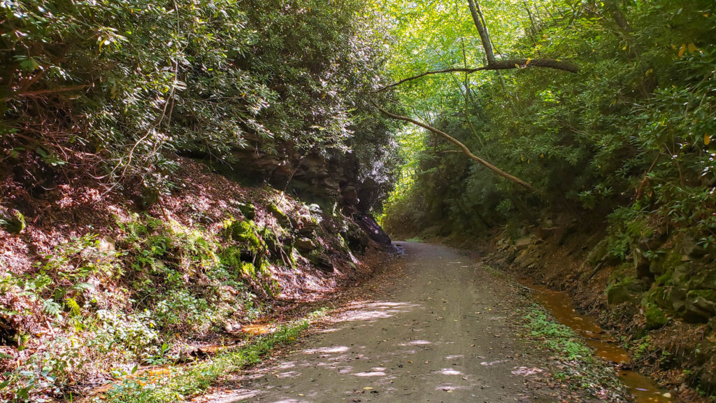 The Ghost Town Trail May Be The Best Bike Trail in West PA