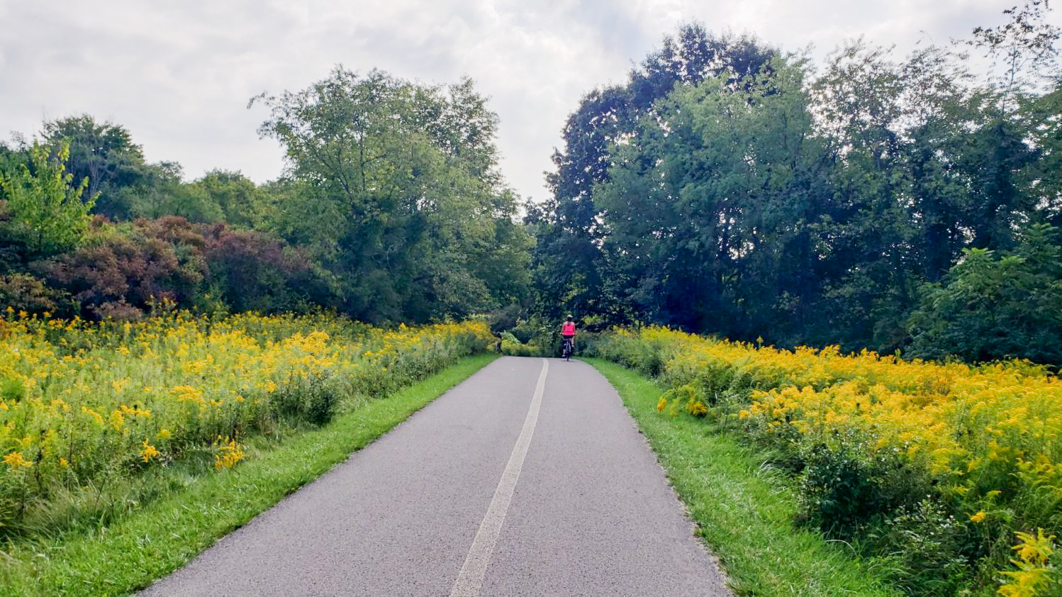Taking a Bike Ride Along the Lake at Moraine State Park