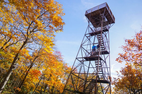 Observation Tower at Mount Davis
