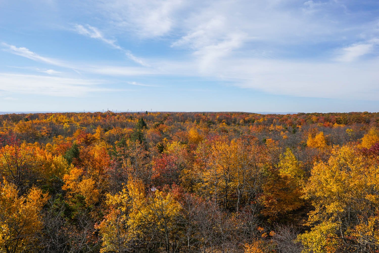 A Brief Visit to Mount Davis Highest Point in Pennsylvania