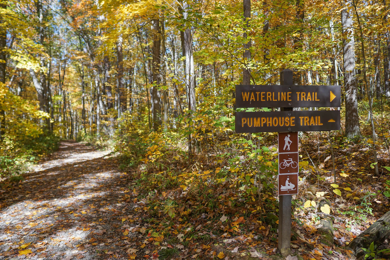 Trail Markers at Laurel Hill