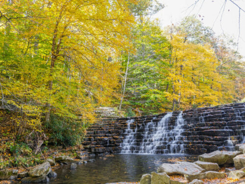 7 of the Best Places to View Fall Colors in Pittsburgh