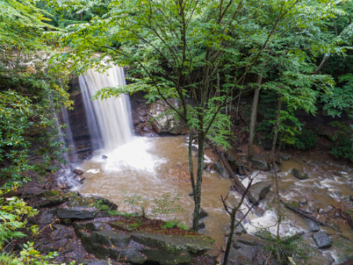 10 Waterfalls Near Pittsburgh You Must Check Out