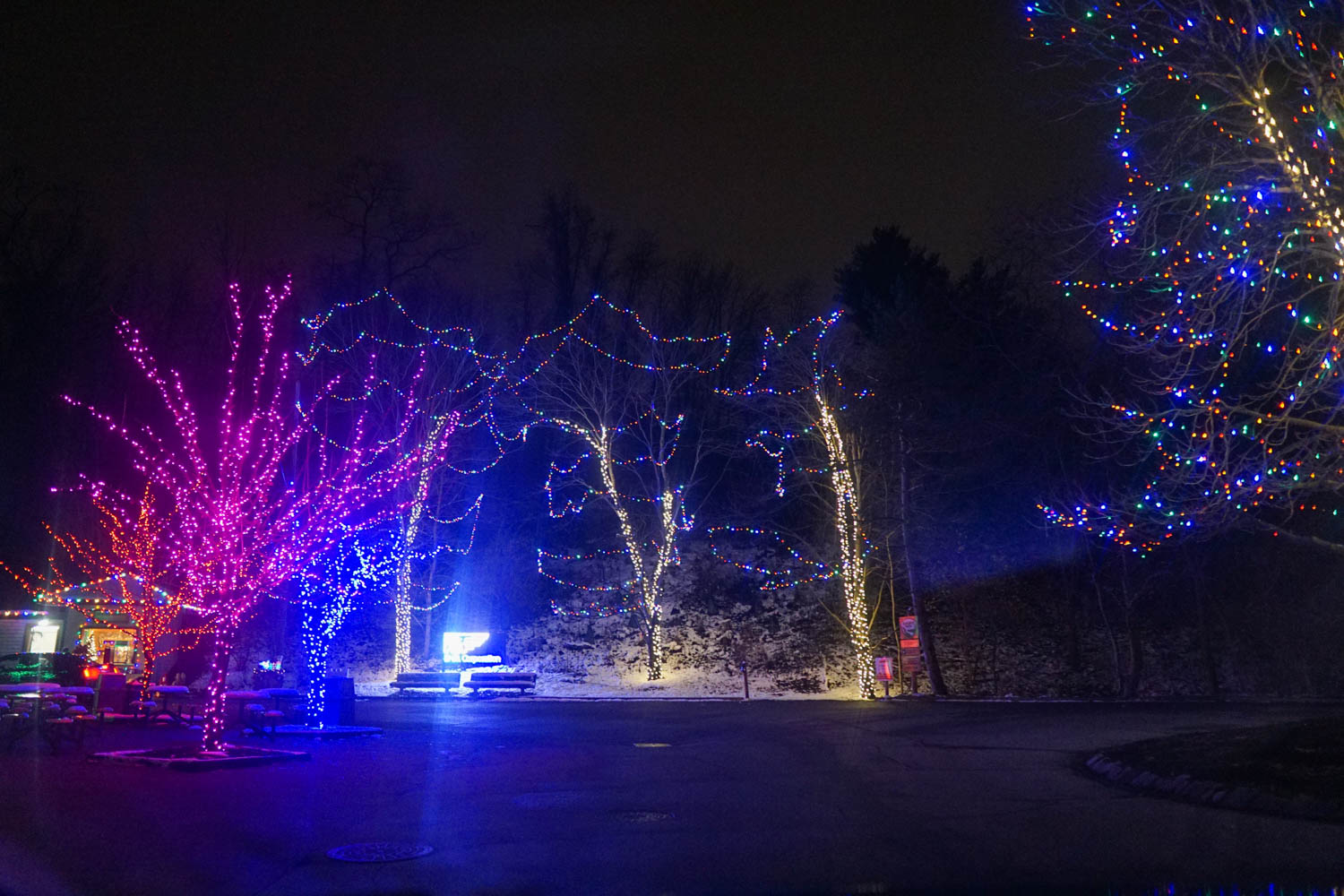 Holiday Lights at the Pittsburgh Zoo