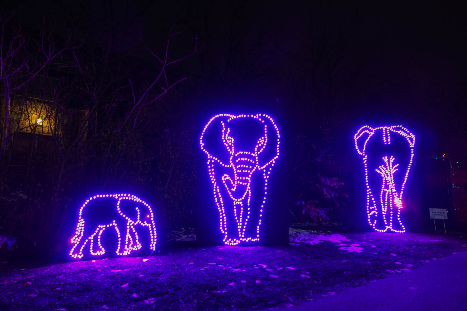 Elephant Light Exhibit
