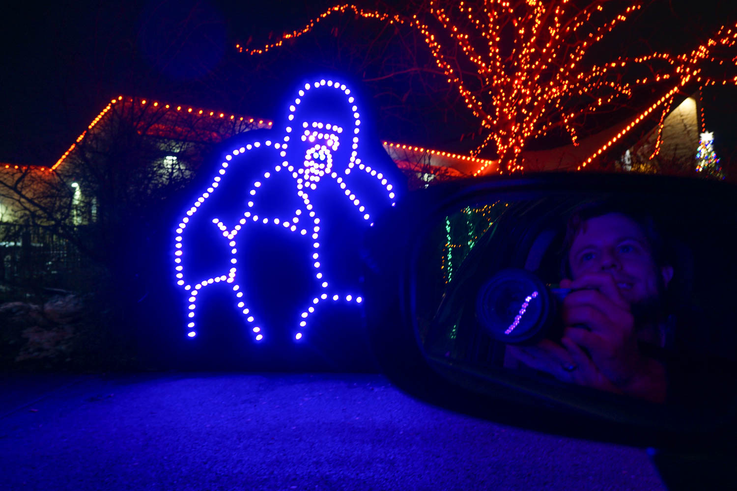 Gorilla at the Pittsburgh Zoo Light Drive Through