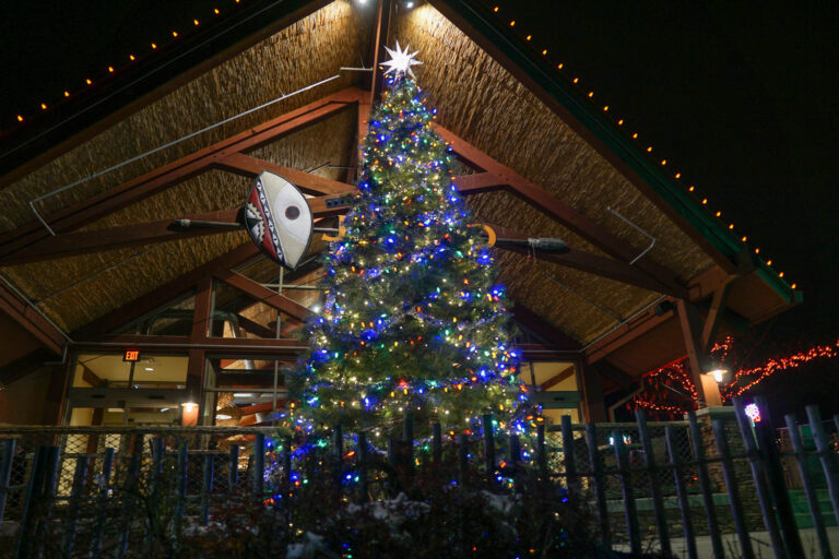 9 of the Best Places for Christmas Lights in Pittsburgh