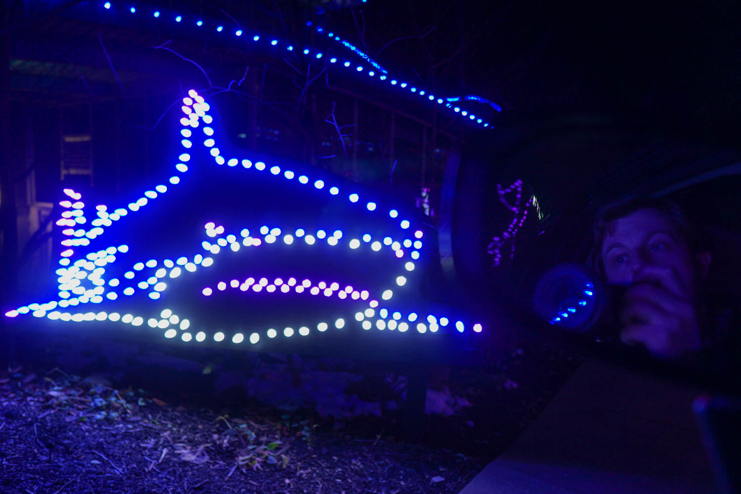 Lighted Shark Outside of PPG Aquarium