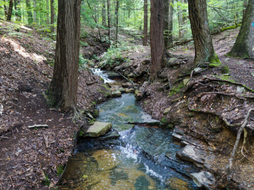 10 Awesome Cabins Near Pittsburgh for a Trip in Nature