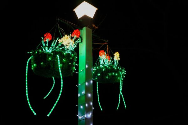 Lighted Flowers at Oglebay's Festival of Lights Near Pittsburgh