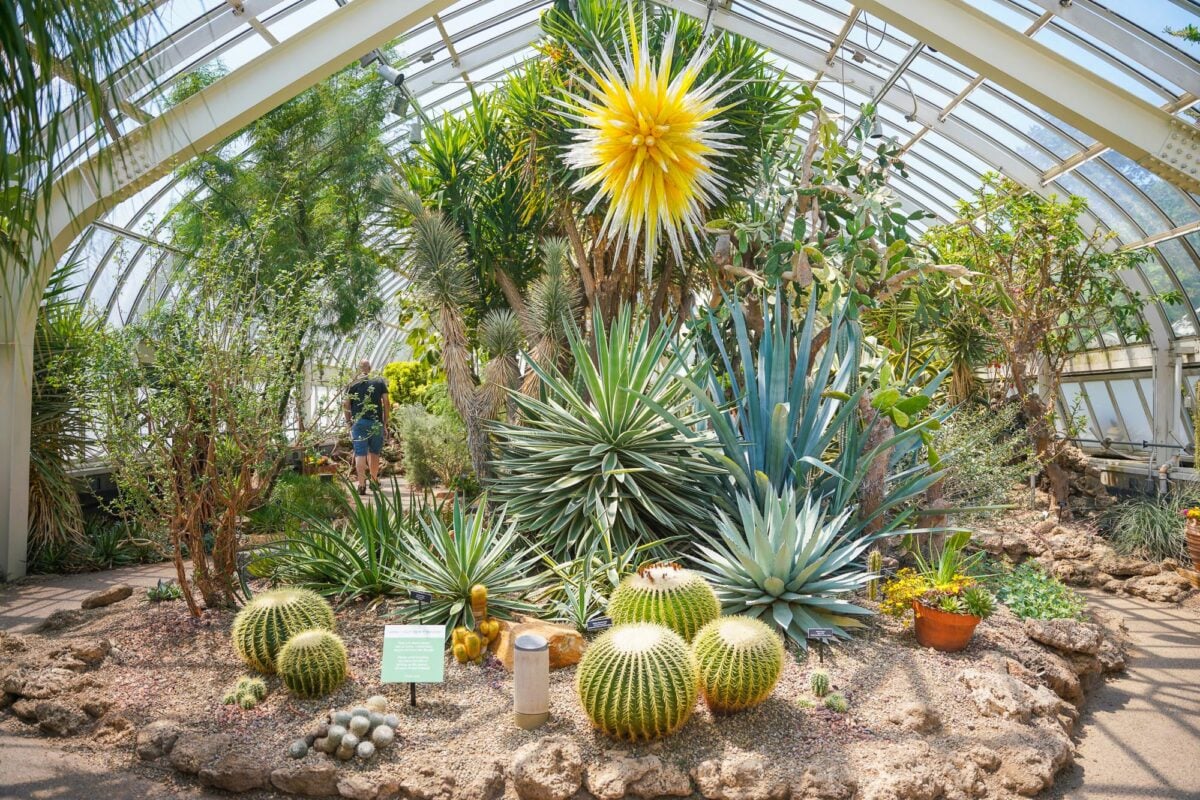 Phipps Conservatory