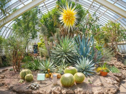 Phipps Conservatory and Botanical Gardens is a Must Visit