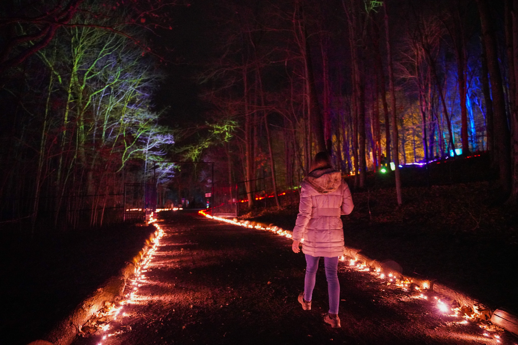 Holiday Lights at the Pittsburgh Botanic Garden