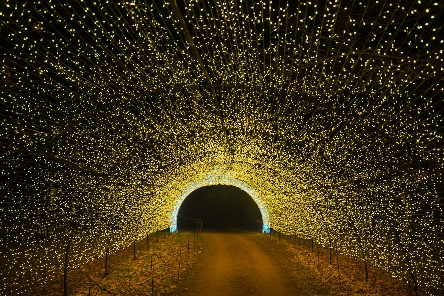 Dazzling Nights Offers a Holiday Walk Through in the Garden