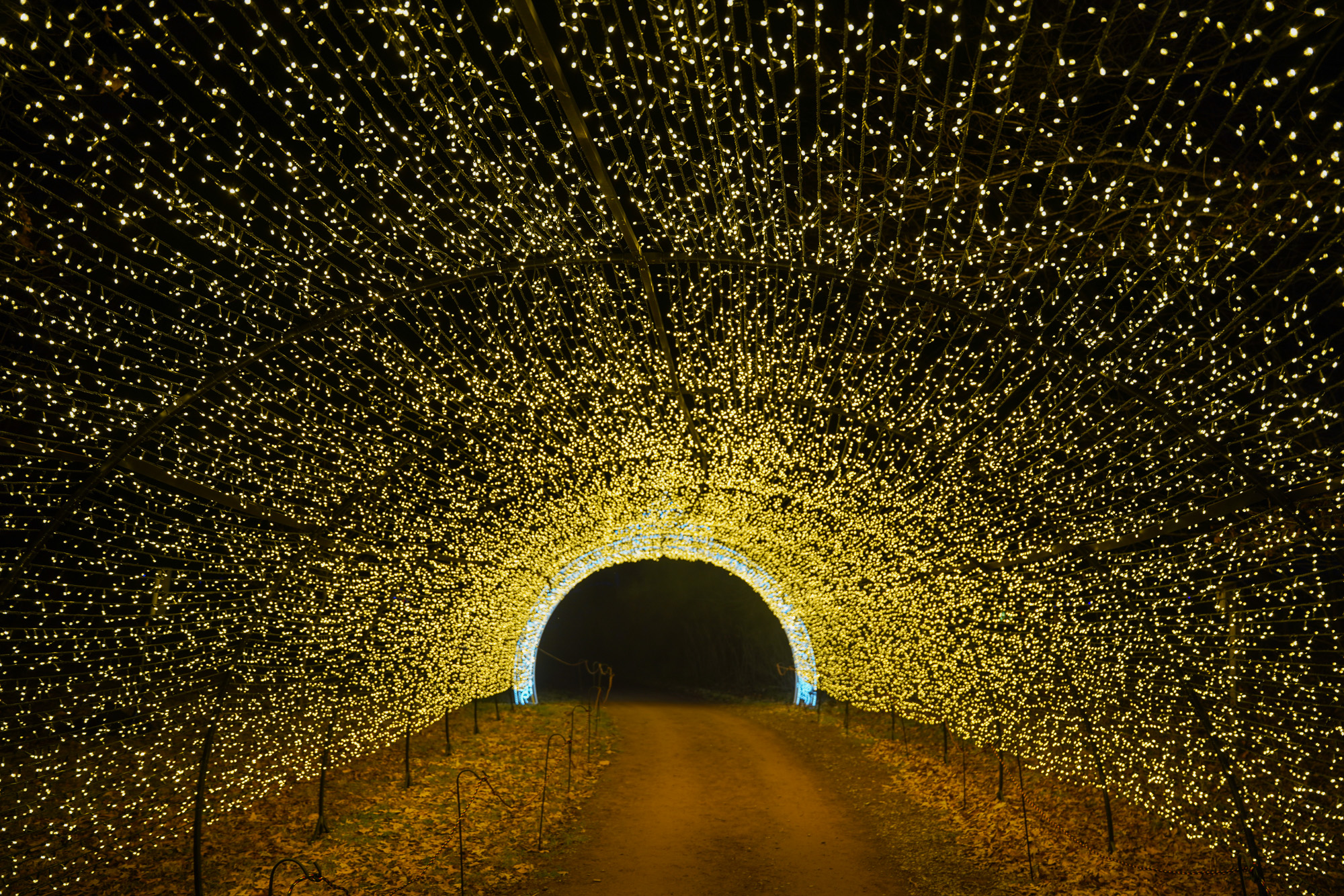 Light Tunnel at Dazzling Nights Pittsburgh