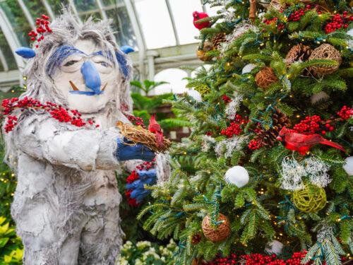 Phipps Conservatory’s Winter Flower Show – Holiday Magic