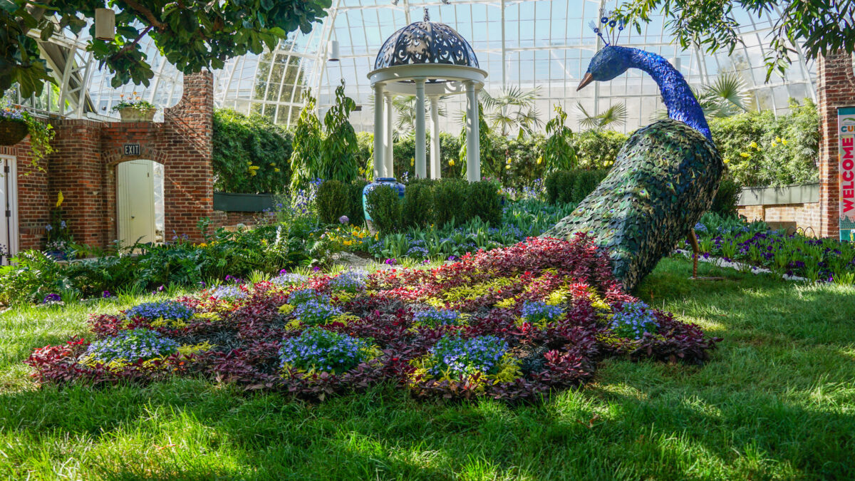 Art at Phipps Conservatory